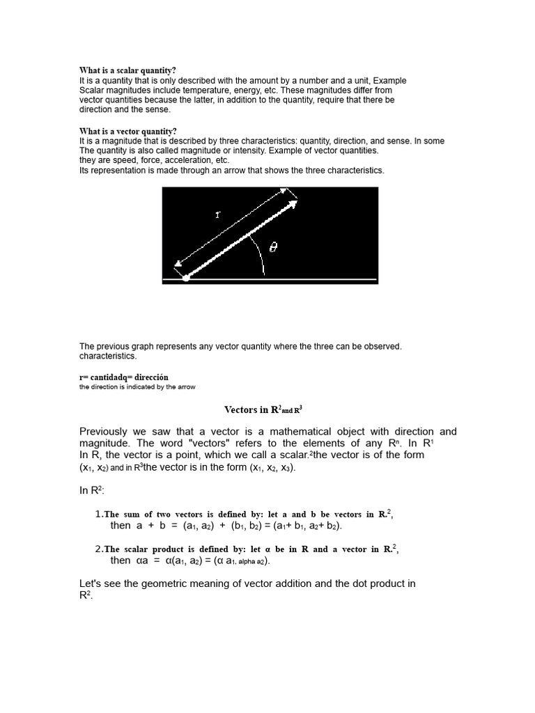 Scalar and Vector Quantities Explained | PDF | Euclidean Vector | Norm ...