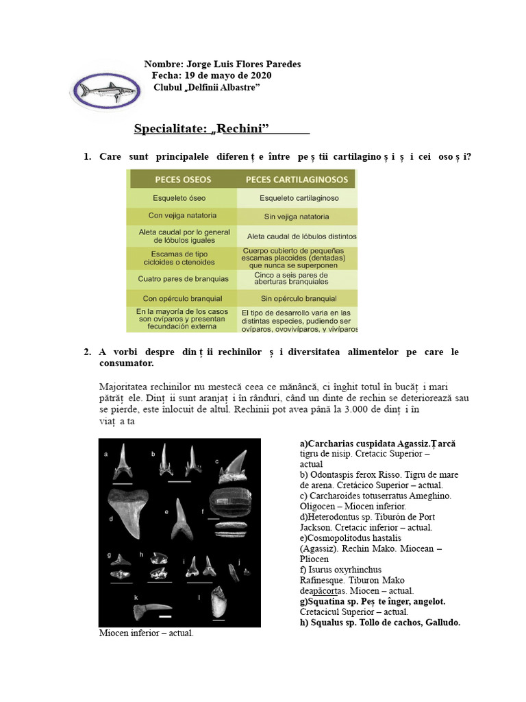 Specialitatea Rechini | PDF
