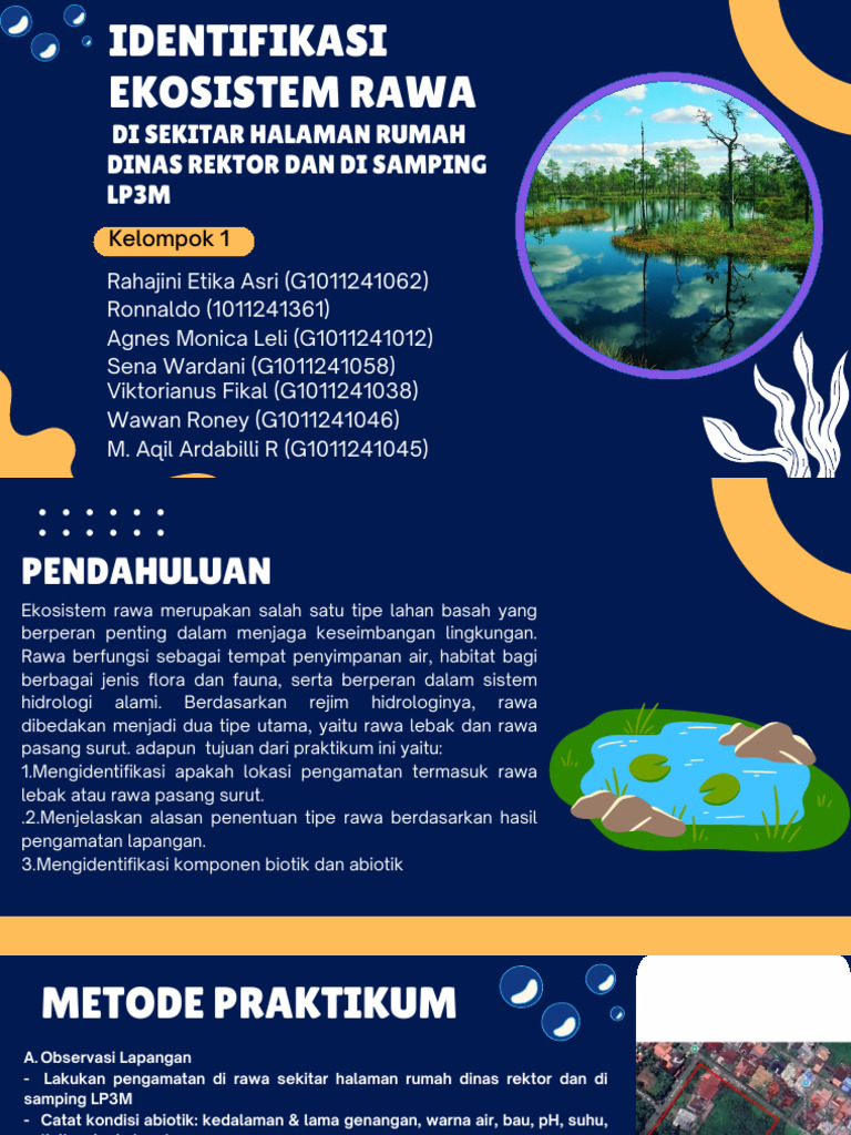 Identifikasi Ekosistem Rawa - 20251024 - 101247 - 0000 | PDF