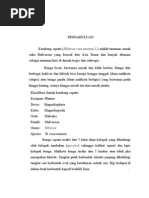 Download BUNGA SEPATU by Wahyu Try SN94382398 doc pdf