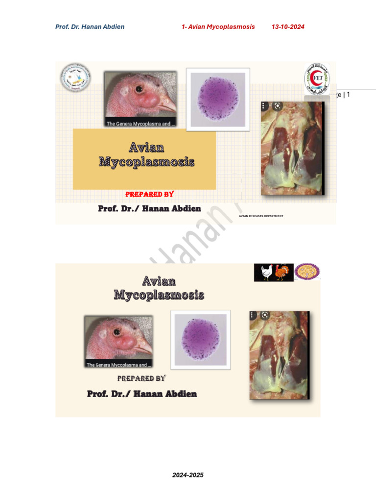1 - Avian Mycoplasmosis 13-10-2024 | PDF