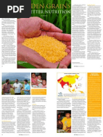 Download RT Vol 10 No 4 Golden grains for better nutrition by Rice Today SN94386665 doc pdf