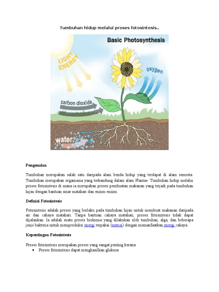 Tumbuhan Hidup Melalui Proses Fotosintesis Pdf