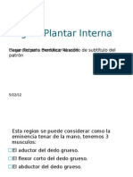 Region Plantar Interna