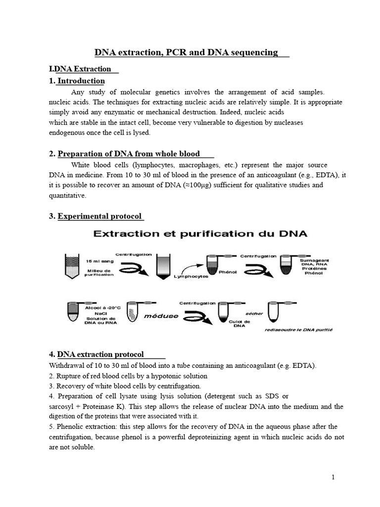 DNA Extraction, PCR, and Sequencing Guide | PDF | Polymerase Chain ...