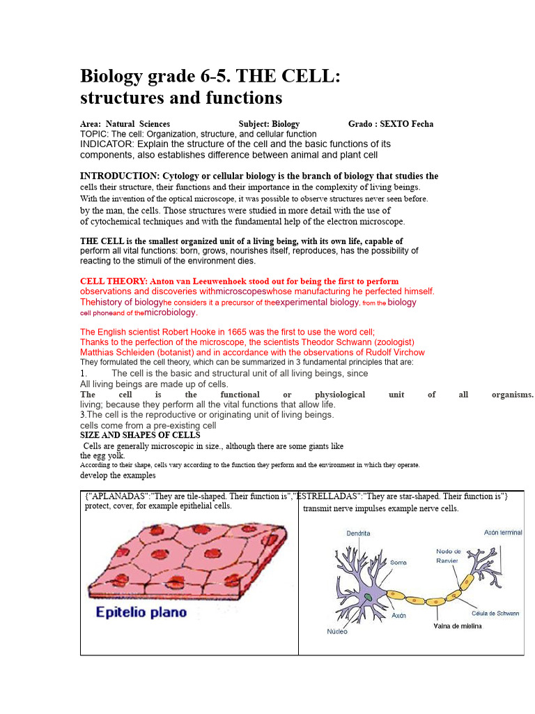 Cell Structure and Function Overview | PDF | Cell (Biology) | Chloroplast