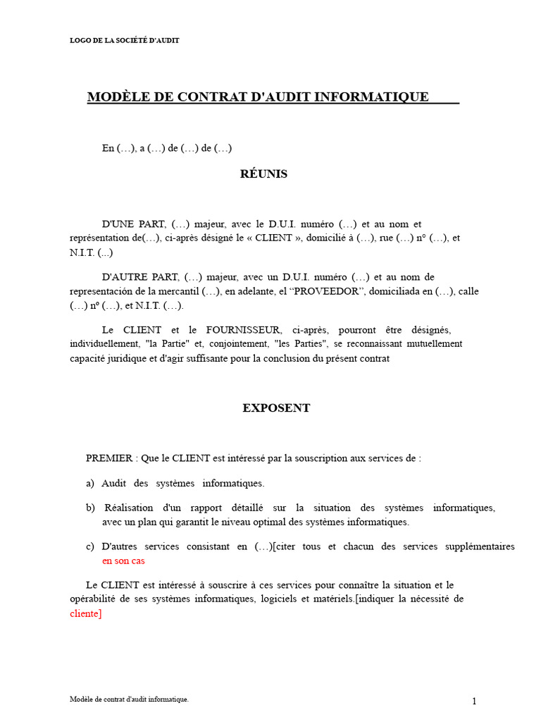 Modèle de contrat d'audit informatique | PDF | Informatique | Logiciel