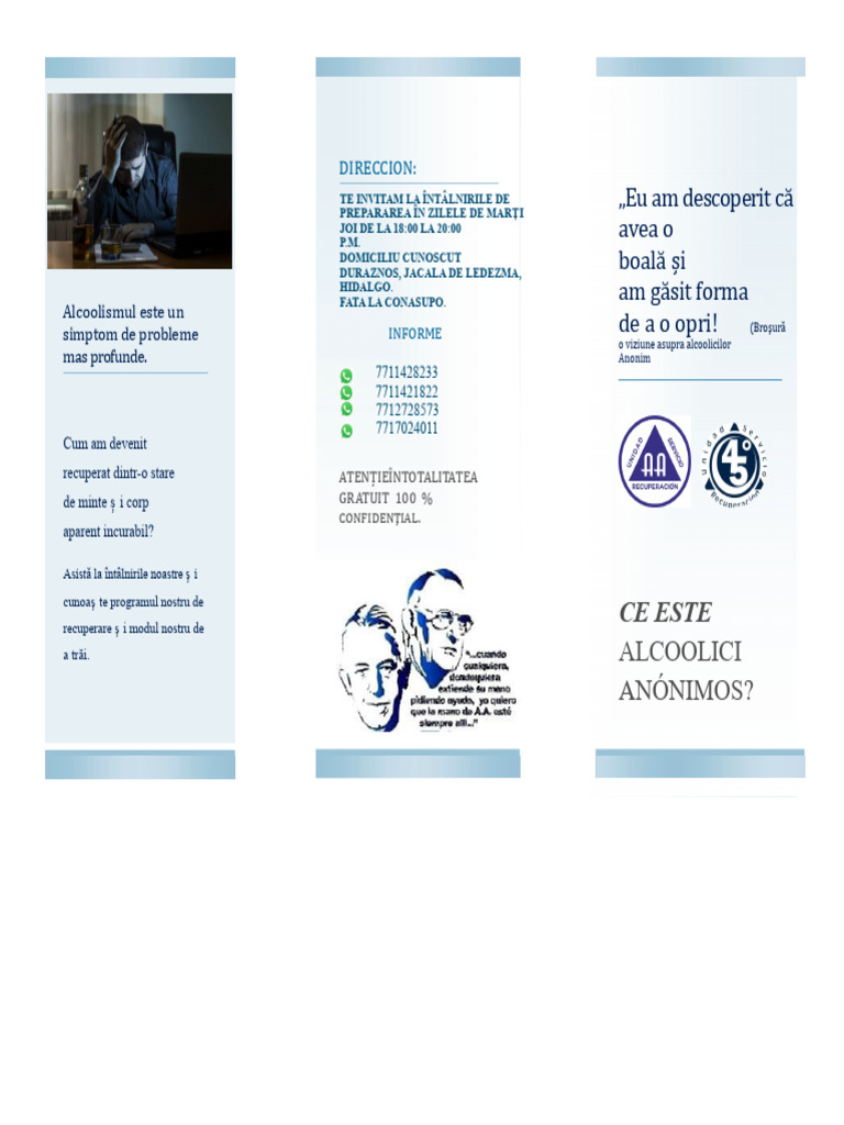 Triptic Aa | PDF