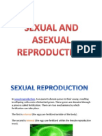 Asexual and Sexual
