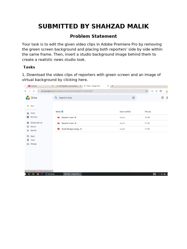 Document 1 | PDF
