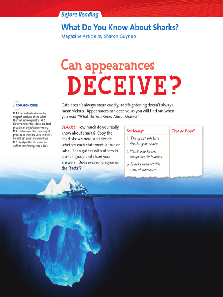 Understanding Sharks: Facts and Myths | PDF | Sharks | Fish