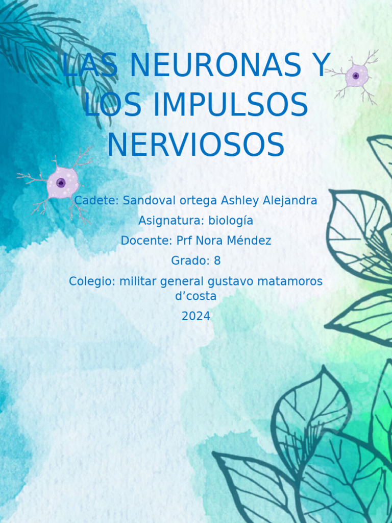 Las Neuronas y Los Impulsos Nerviosos | PDF | Sinapsis | Potencial de ...