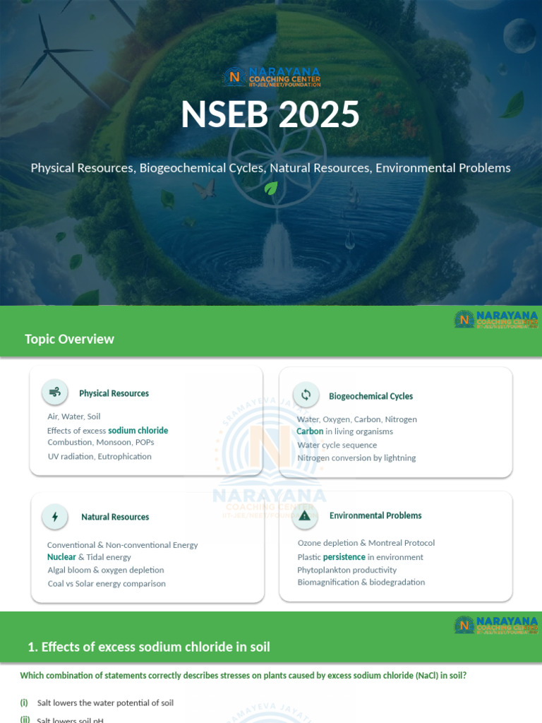 Main Presentation NSEB 2025 - New | PDF | Ozone Depletion | Fossil Fuel ...