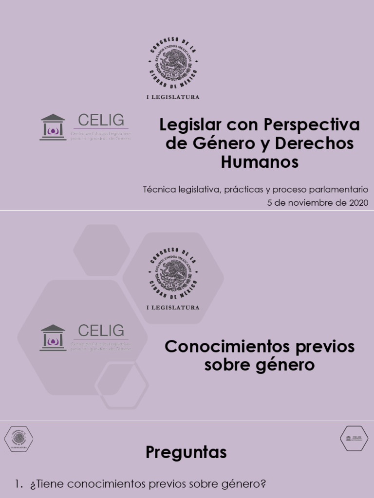 Legislar Con Perspectiva de Genero y DH | PDF | Género | Estudios de género