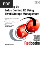 Backing Up Lotus Domino R5 Using Tivoli Storage Management Sg245247