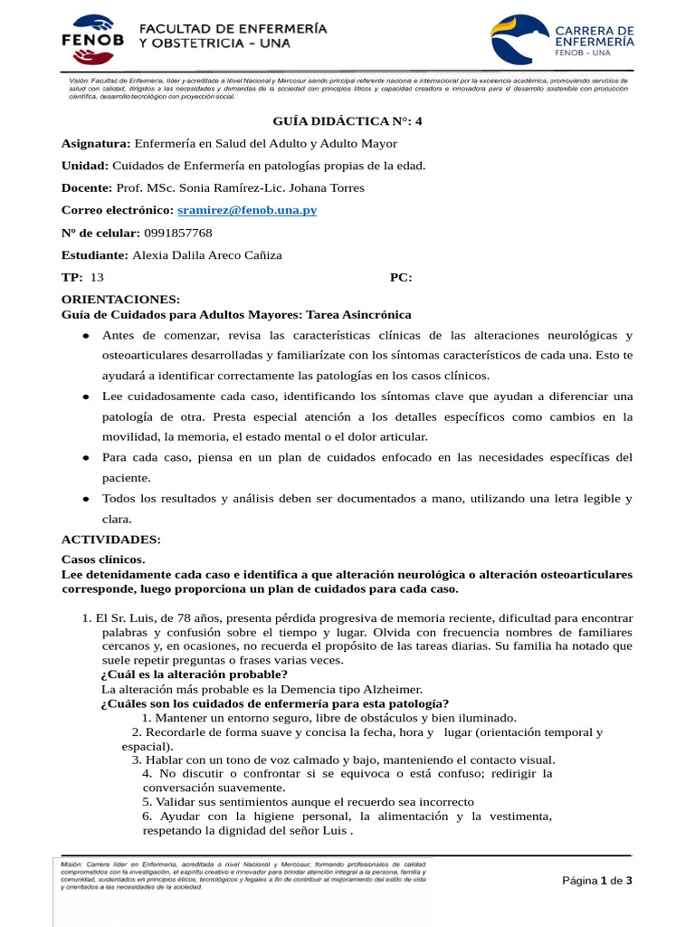Cuidados de Enfermería para Adultos Mayores | PDF | Osteoporosis | Medicina