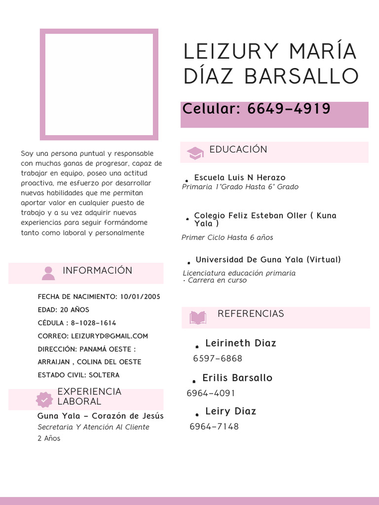 Curriculum Vitae CV de Mujer Profesional Vendedora Moderno Rosa ...