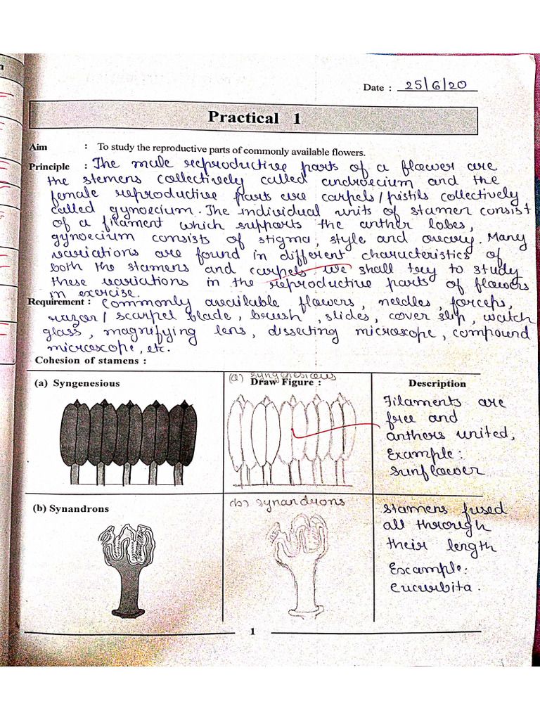 Bio Journal PDF | PDF