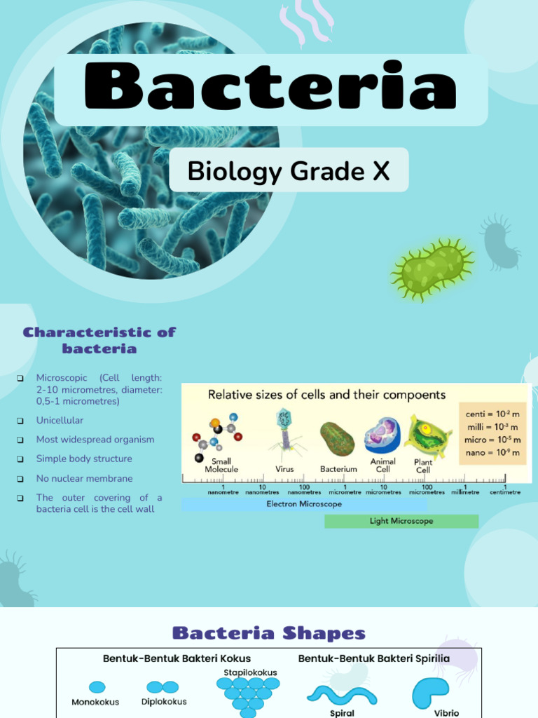 Understanding Atrichous Bacteria | PDF | Bacteria | Plasmid