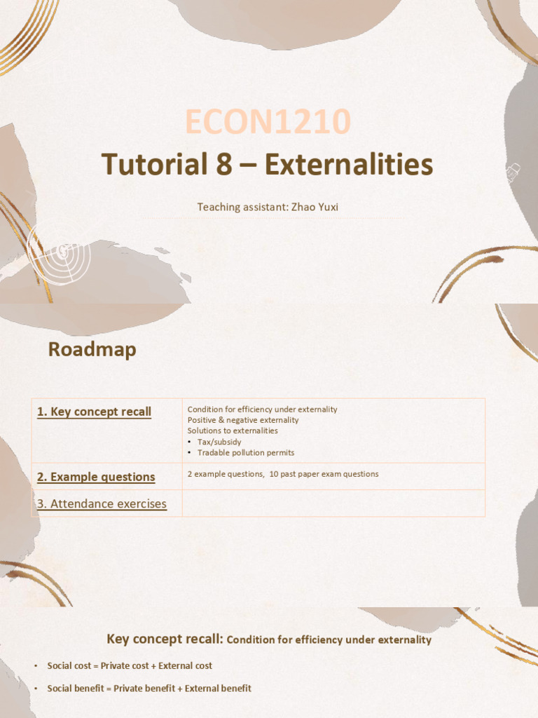 Externalities: Solutions & Examples | PDF | Externality | Political Economy