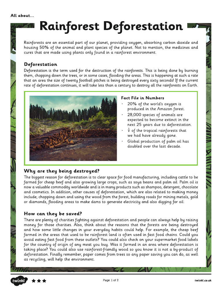 Rainforest Deforestation | PDF