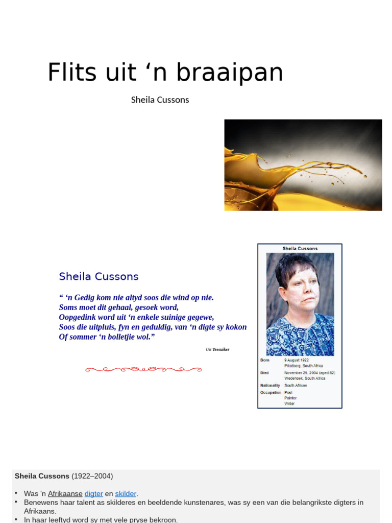 9 Flitslig Uit N Braaipan | PDF