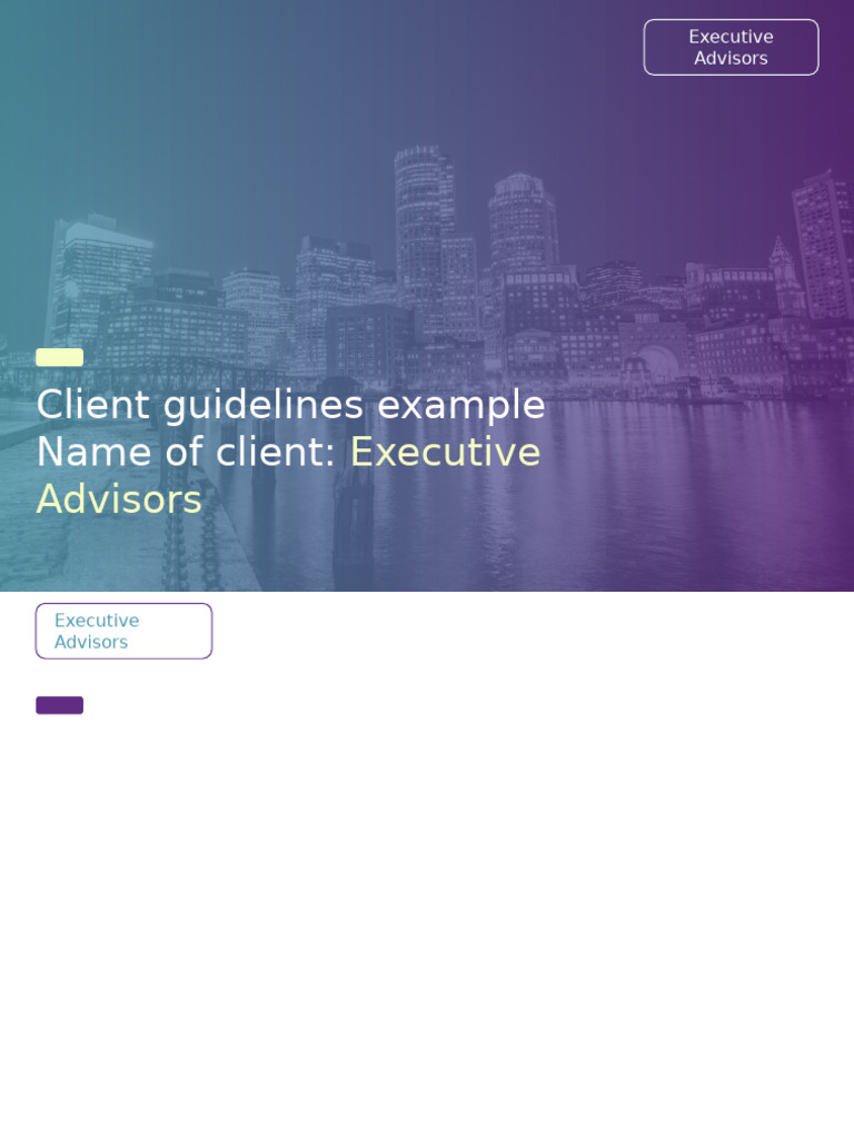 Executive Advisors Client Guidelines Overview | PDF