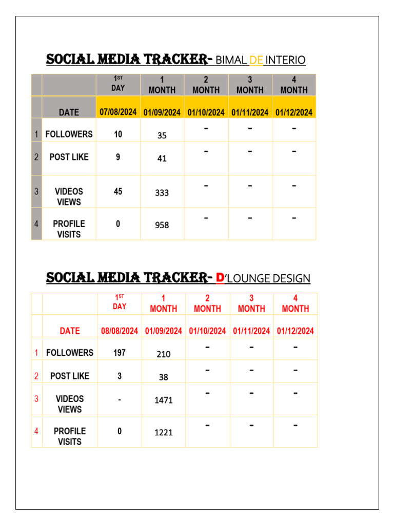 Social Media Performance Tracker 2024 | PDF