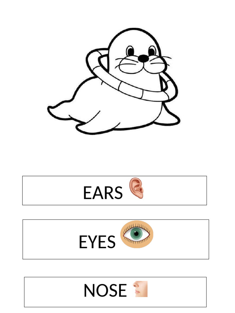 Foca | PDF