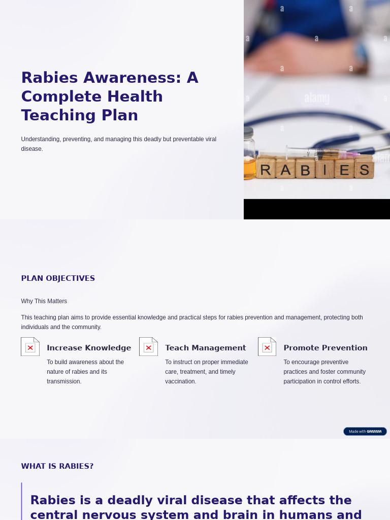 Rabies Awareness A Complete Health Teaching Plan | PDF | Rabies | Medicine