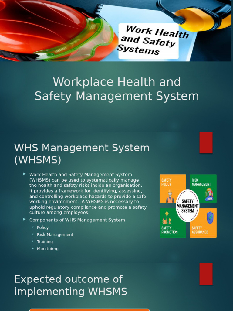 Effective WHS Management System Guide | PDF | Occupational Safety And ...