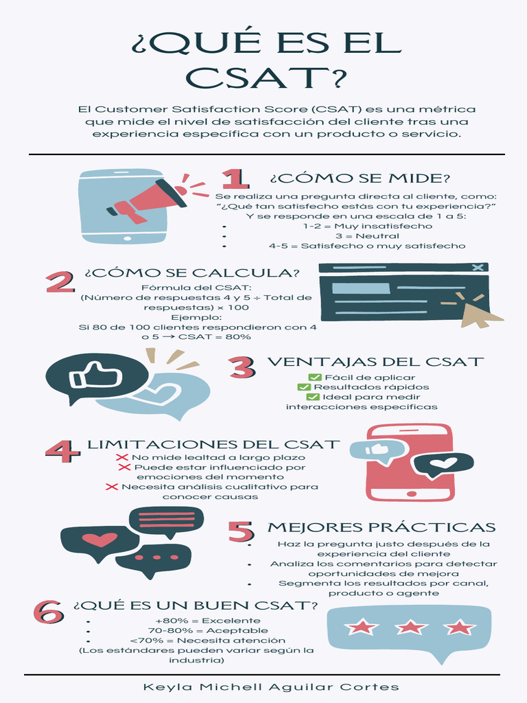 Infografía CSAT | PDF