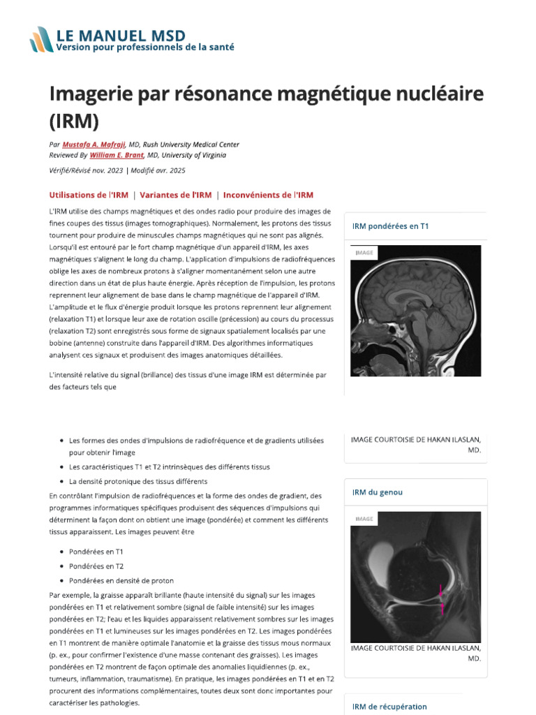 Irm | PDF