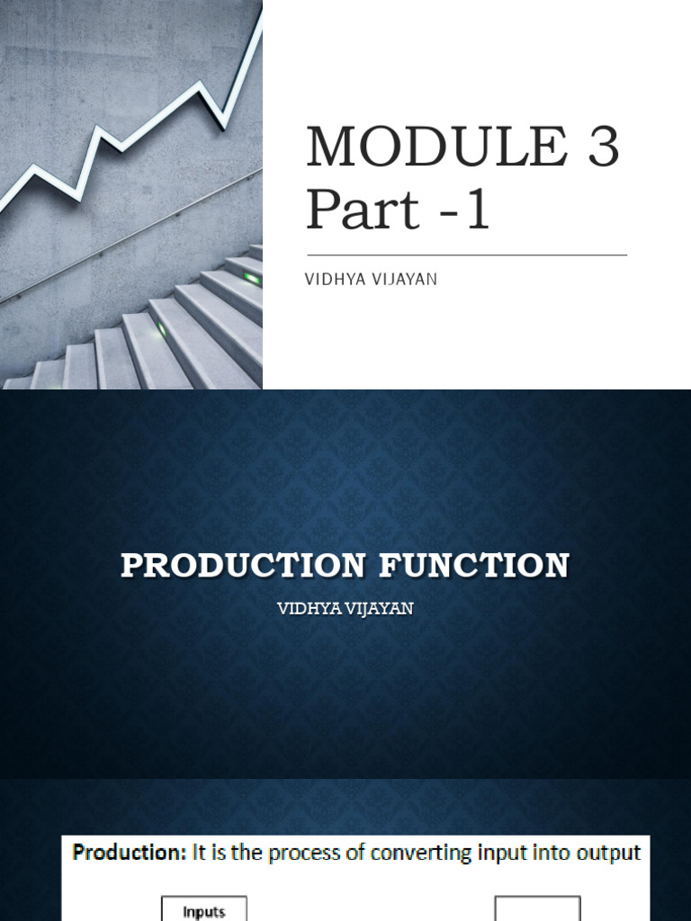 Understanding Production Function Basics | PDF | Production Function ...