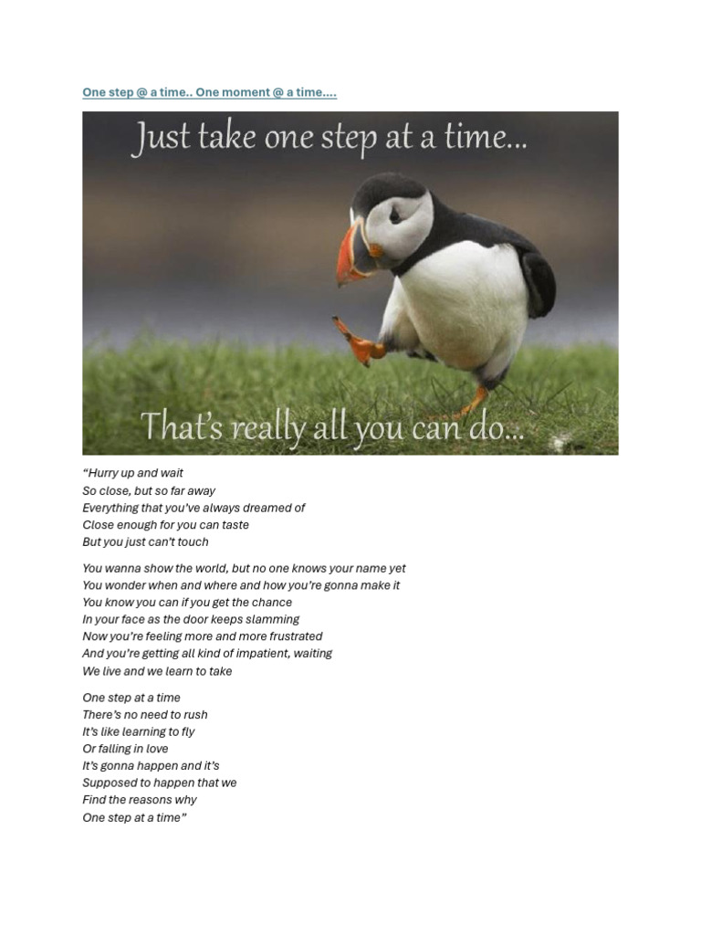 One Step at a Time: Embracing Patience | PDF