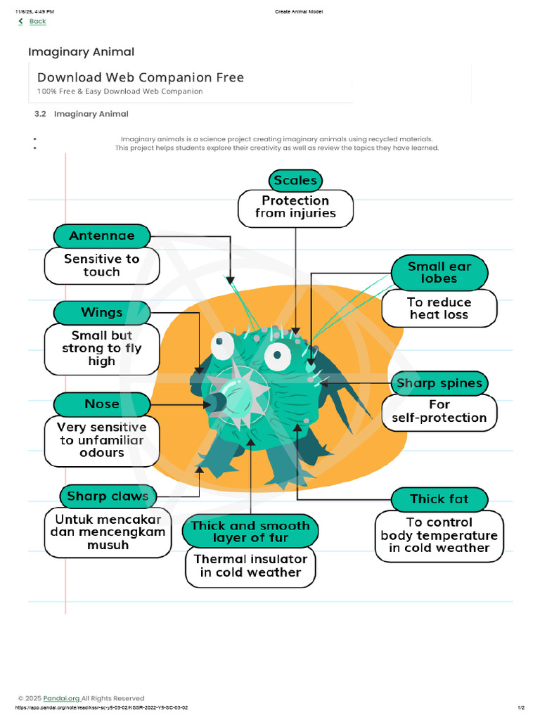 Create Animal Model | PDF