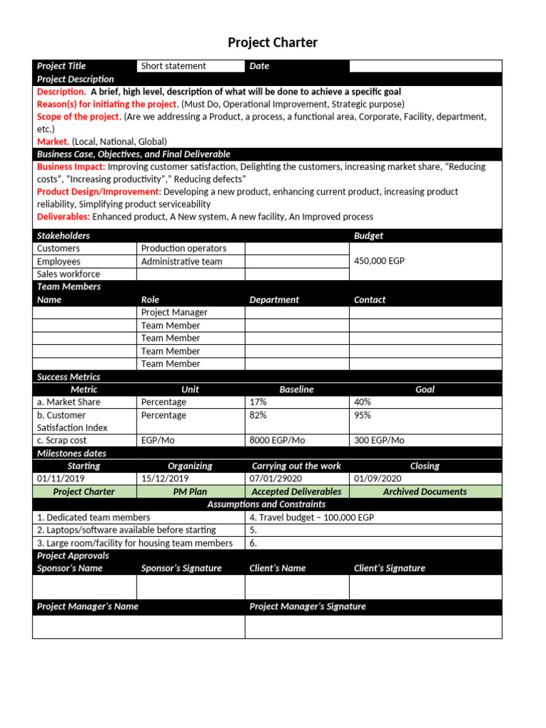 Project Charter Guidelines - Fall 2019 | PDF | Business