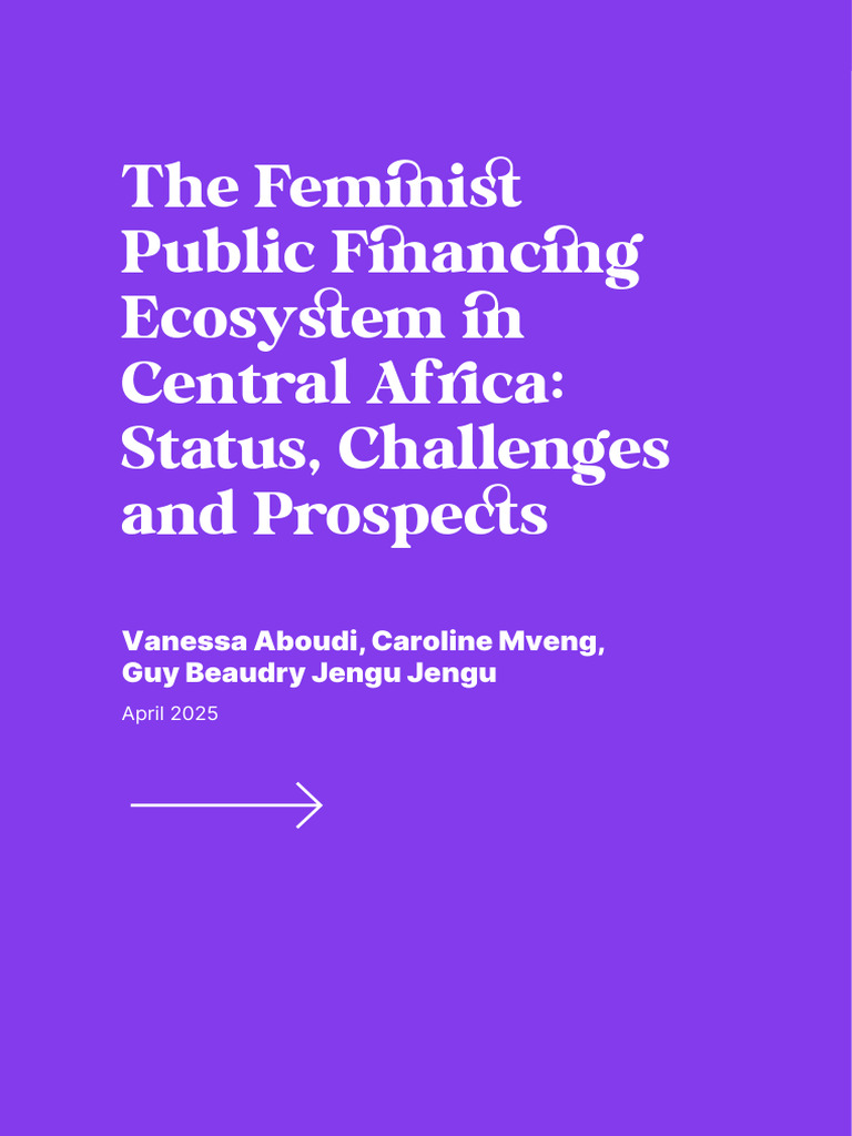 6 - The Feminist Public Financing Ecosystem in Central Africa Status ...