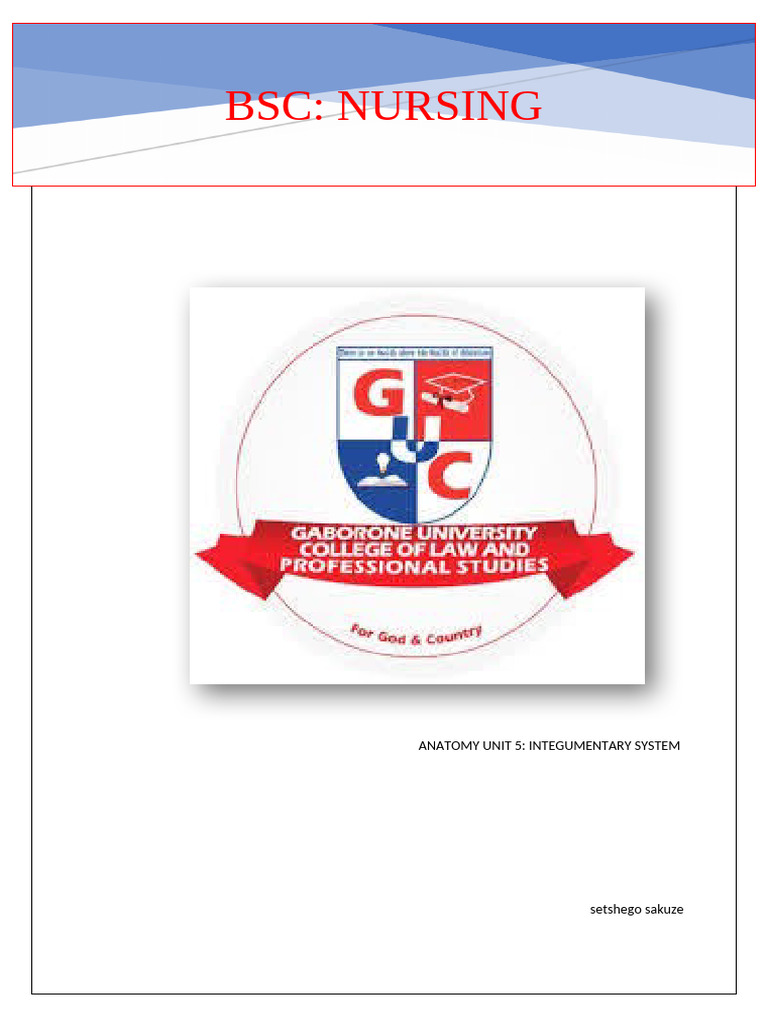 Anatomy Integumentary System Multiple Choice 1 PDF Connective