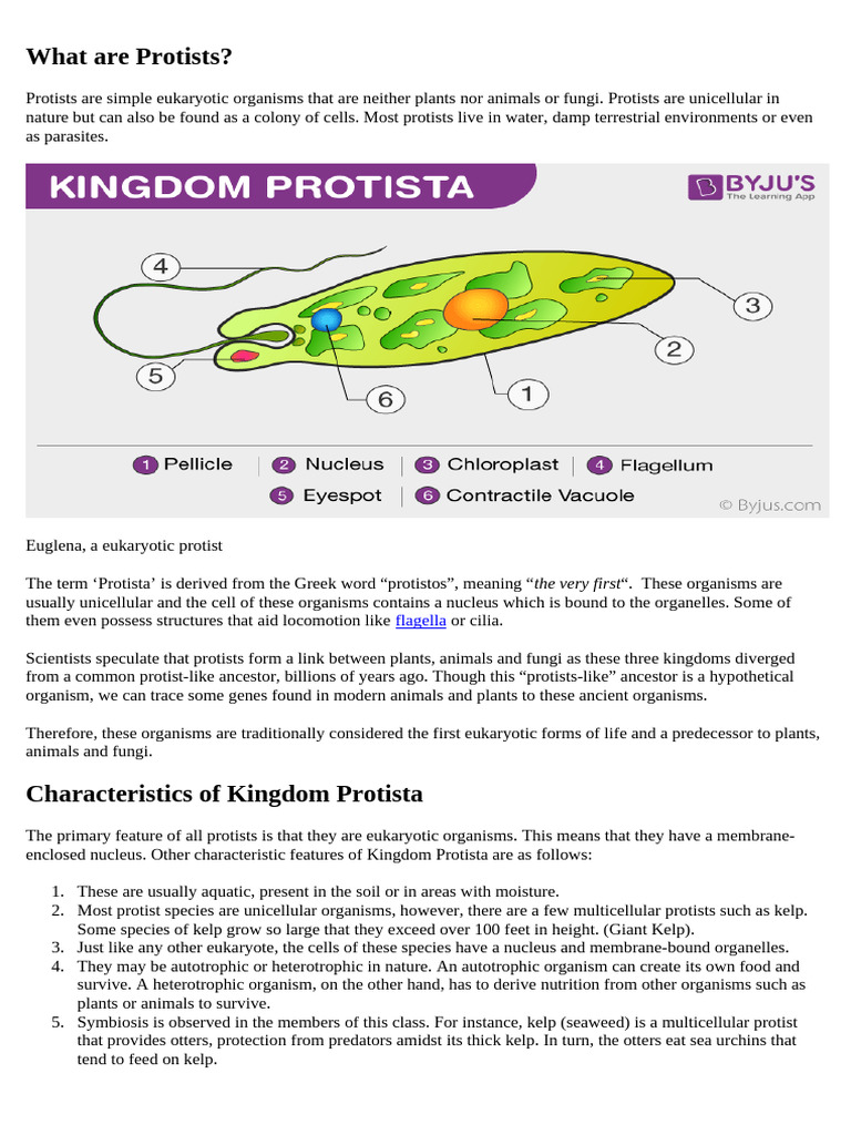What Are Protists Class 7 | PDF | Protozoa | Eukaryotes