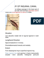 Anatomy of Inguinal Canal