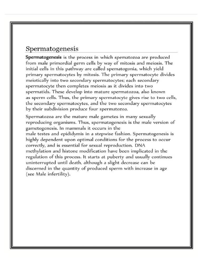 Bindu Project | PDF