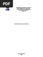 Aula prática CURVA MÉTODO DE BRADFORD