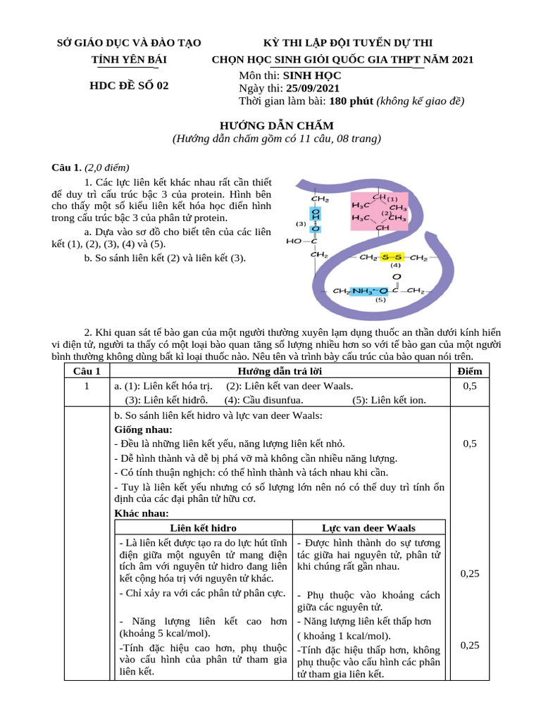 Yên Bái - 2020-2021.Hdc de Chính TH C Ngay 1 | PDF