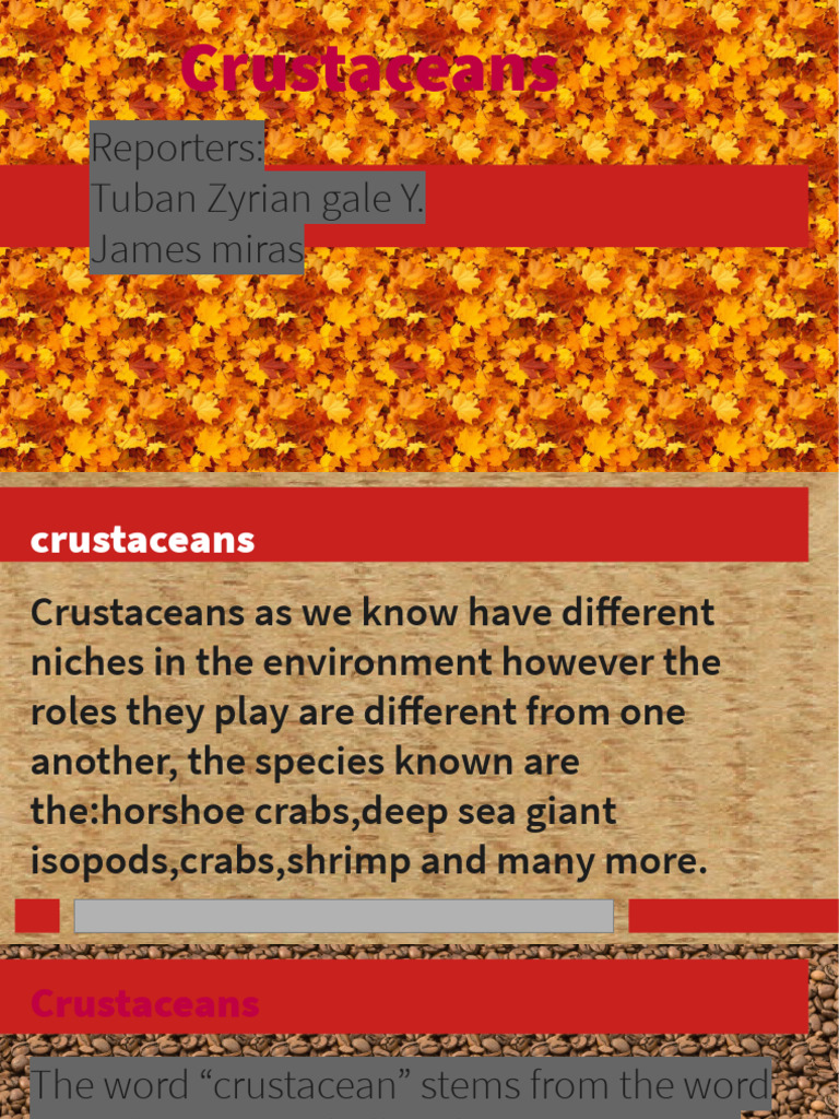Powerpoint Eng7 Docs - Crustaceans.pptc | PDF