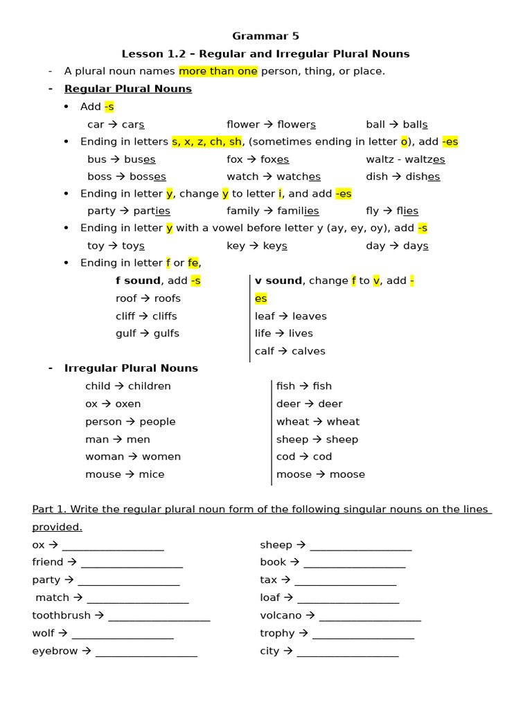 Grammar 5 - 1.2 - Regular and Irregular Nouns | PDF | Plural ...