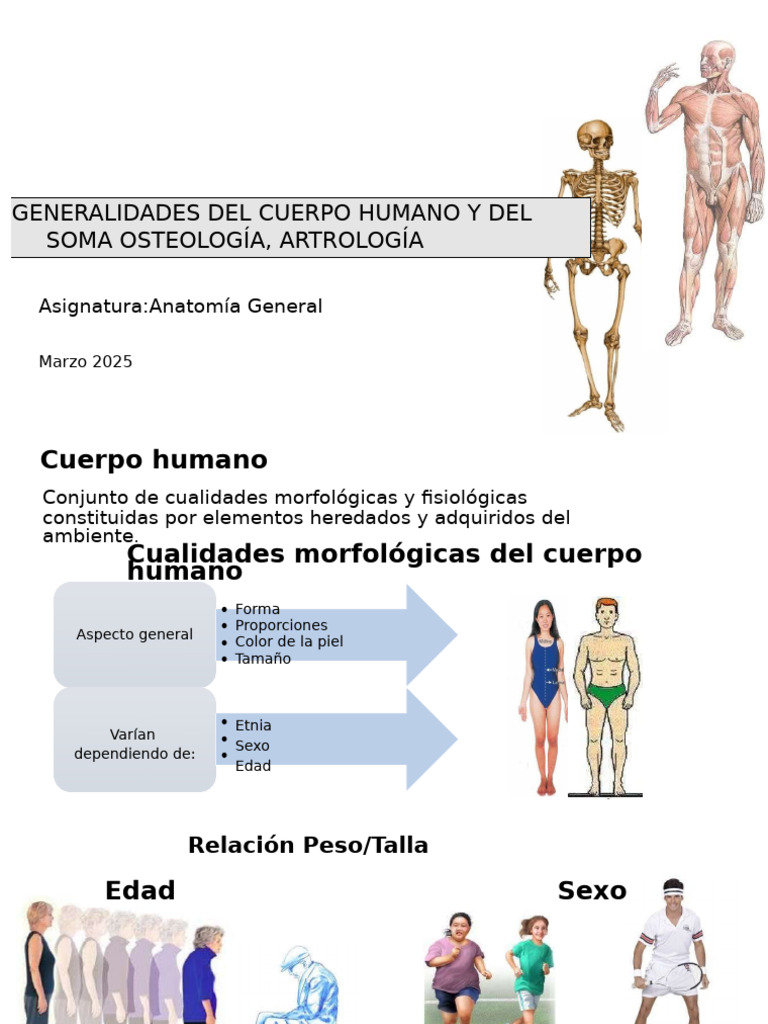 Anatomía General: Estructura del Cuerpo Humano | PDF | Articulación ...