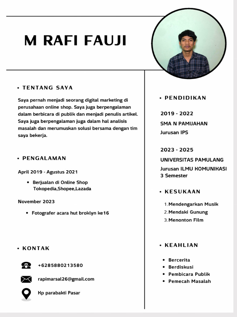 CV Rafi Fauji | PDF