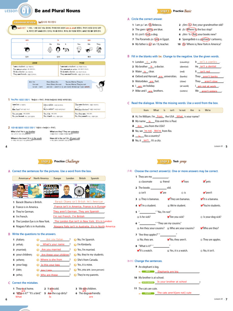 Be Verbs and Plural Nouns Guide | PDF