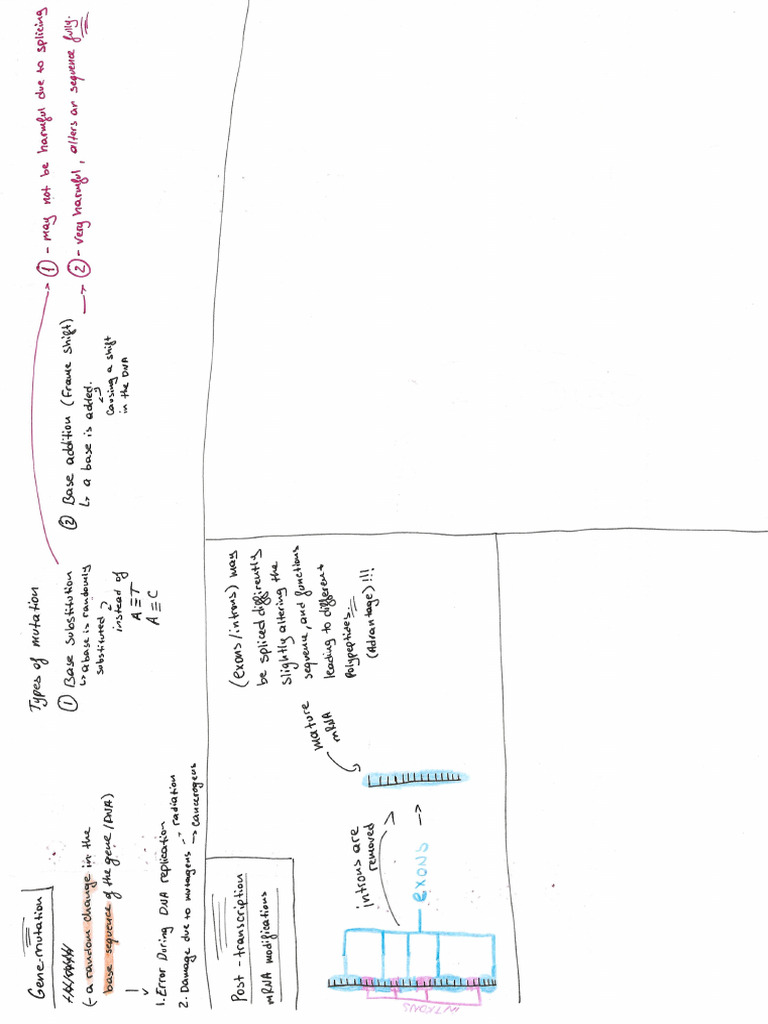 Bio 5 s2 | PDF